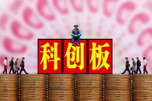 科創(chuàng)板交易規(guī)則解讀 無(wú)T+0、50萬(wàn)門(mén)檻與信息咨詢(xún)